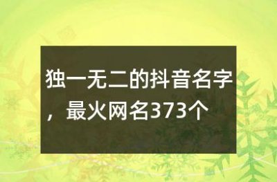 ​独一无二的抖音名字,最火网名373个