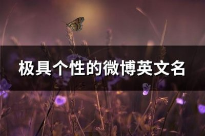 ​极具个性的微博英文名(精选143个)