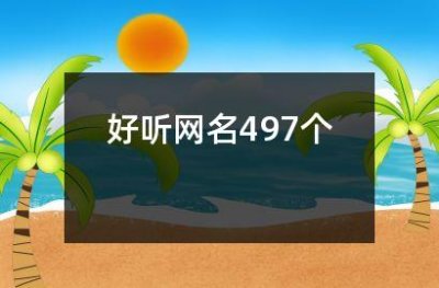 ​好听网名497个